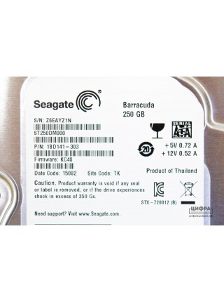 250 GB Seagate ST250DM000