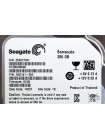 250GB Seagate ST250DM000
