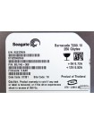 250 GB Seagate ST3250620AS