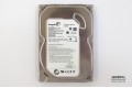 3.5 SATA 250 GB Seagate ST3250318AS