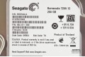 3.5 SATA 250 GB Seagate ST3250318AS
