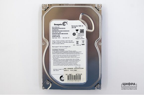 250 GB Seagate ST3250312AS