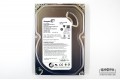 500 GB Seagate ST3500312CS