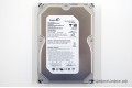 360 GB Seagate ST3360320AS