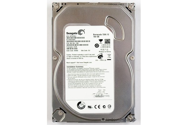 160 GB Seagate ST3160318AS