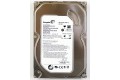 250 GB Seagate ST3250318AS