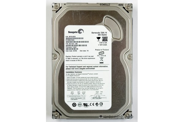 250 GB Seagate ST3250410AS