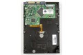 250 GB Seagate ST3250624AS