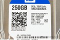250 GB Western Digital WD2500AAKX