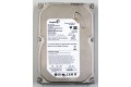 80 GB Seagate ST380815AS