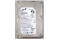 80 GB Seagate ST380811AS