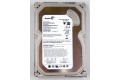 250 GB Seagate ST3250310AS