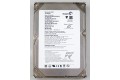 120 GB Seagate ST3120827AS