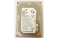 250 GB Seagate ST3250624AS